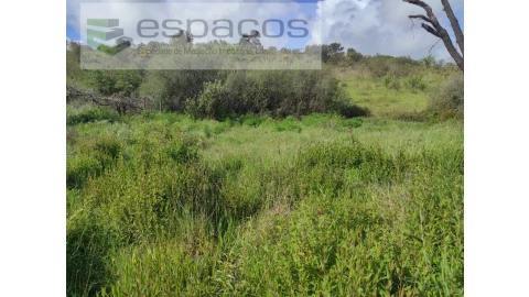 Terreno Agricola ou Rústico para Venda em Malpica do Tejo