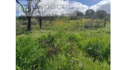 Terreno Agricola ou Rústico para Venda em Malpica do Tejo