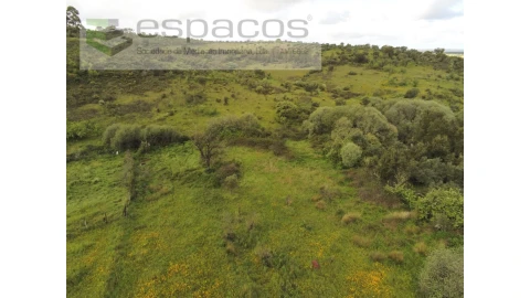 Terreno Agricola ou Rústico para Venda em Malpica do Tejo
