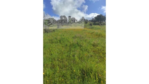 Terreno Agricola ou Rústico para Venda em Malpica do Tejo