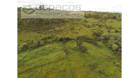 Terreno Agricola ou Rústico para Venda em Malpica do Tejo