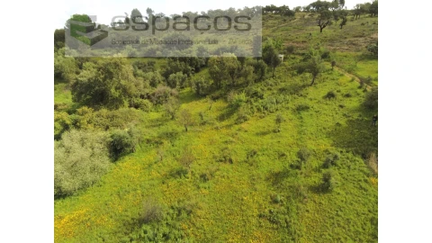 Terreno Agricola ou Rústico para Venda em Malpica do Tejo