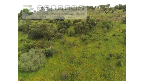 Terreno Agricola ou Rústico para Venda em Malpica do Tejo