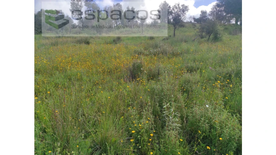 Terreno Agricola ou Rústico para Venda em Malpica do Tejo Foto 2