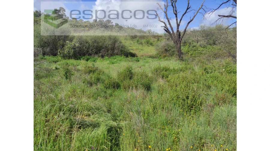 Terreno Agricola ou Rústico para Venda em Malpica do Tejo Foto 5
