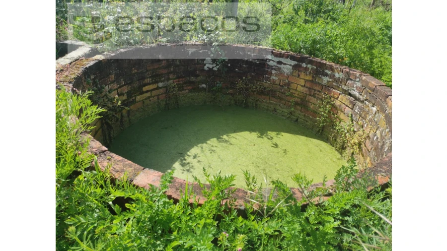Terreno Agricola ou Rústico para Venda em Malpica do Tejo