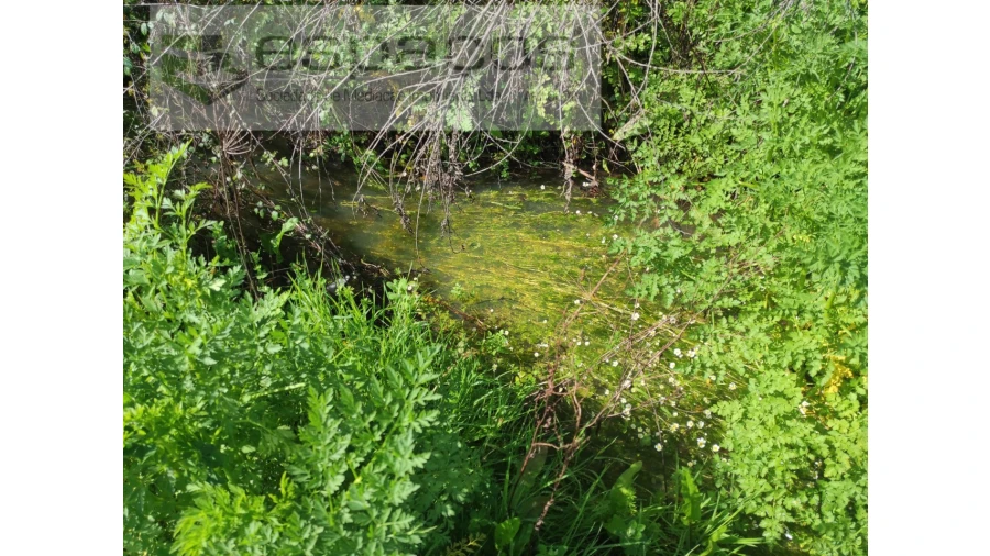 Terreno Agricola ou Rústico para Venda em Malpica do Tejo Foto 10
