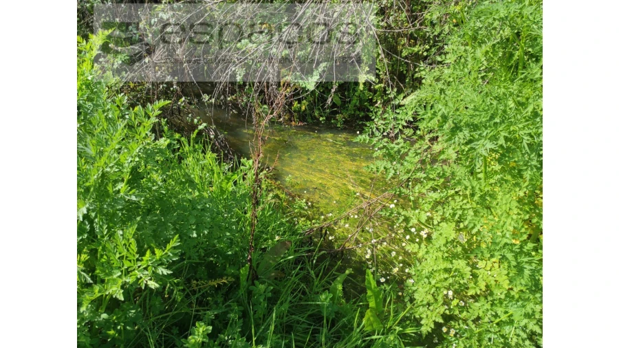 Terreno Agricola ou Rústico para Venda em Malpica do Tejo Foto 12
