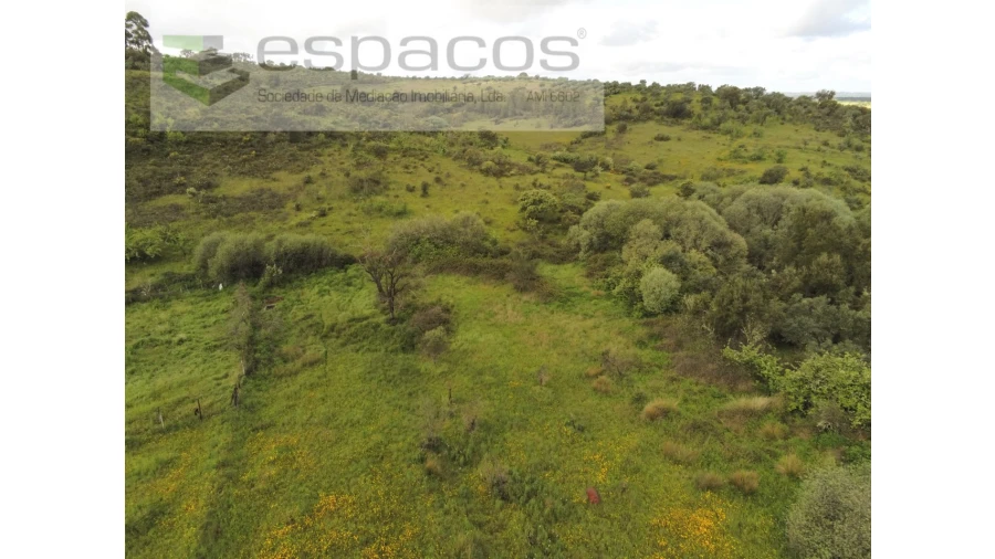 Terreno Agricola ou Rústico para Venda em Malpica do Tejo Foto 13