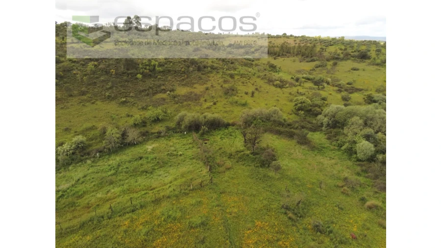 Terreno Agricola ou Rústico para Venda em Malpica do Tejo Foto 15