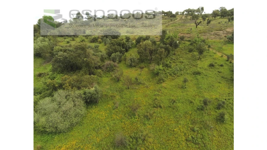 Terreno Agricola ou Rústico para Venda em Malpica do Tejo Foto 9