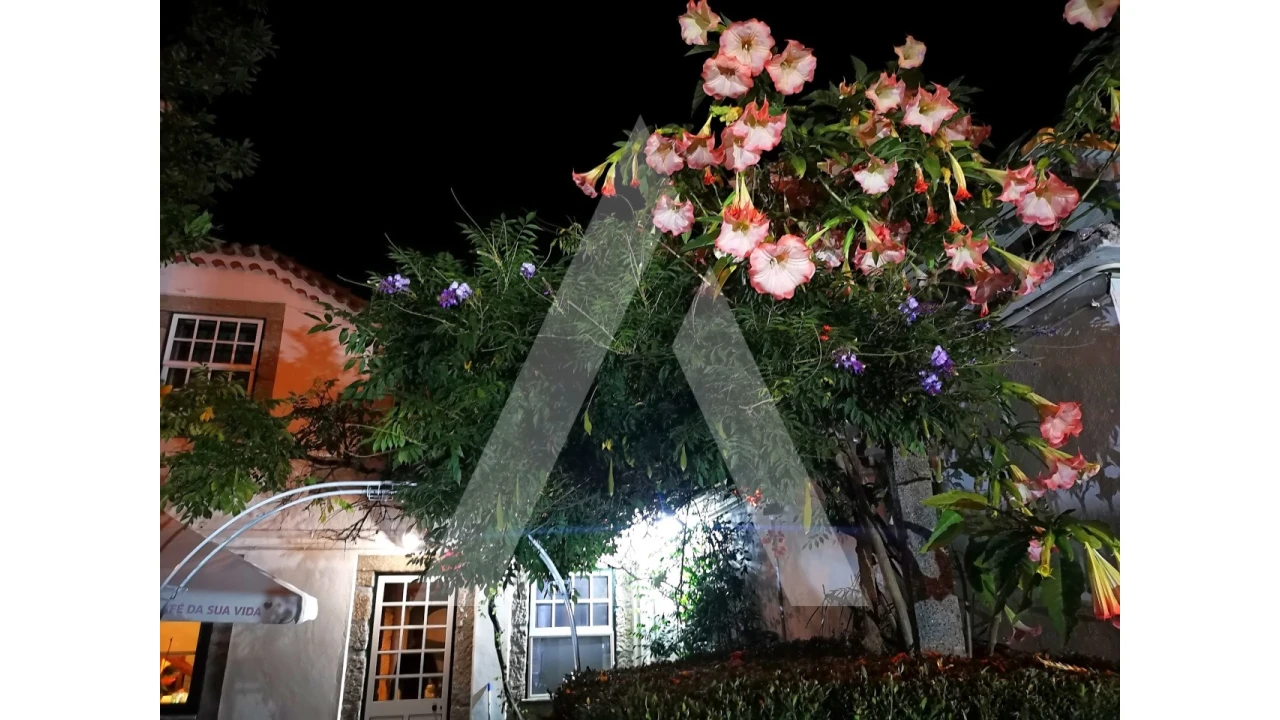 Negócio para Venda em Nelas Foto 20