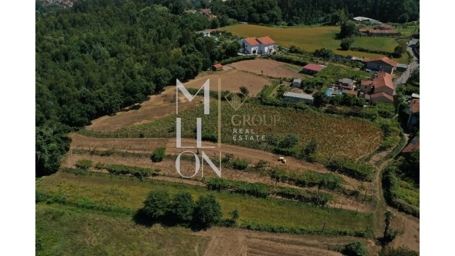 Quinta T4 para Venda em Avintes