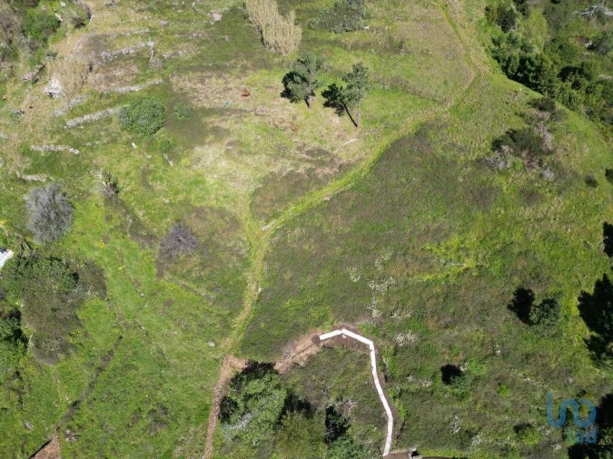Terreno para Venda em Serra de Agua Foto 8