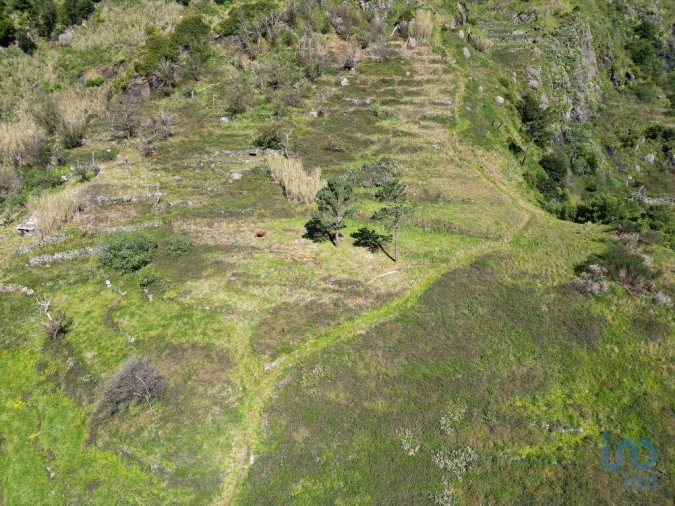 Terreno para Venda em Serra de Agua Foto 6