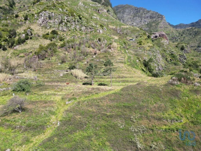 Terreno para Venda em Serra de Agua Foto 4