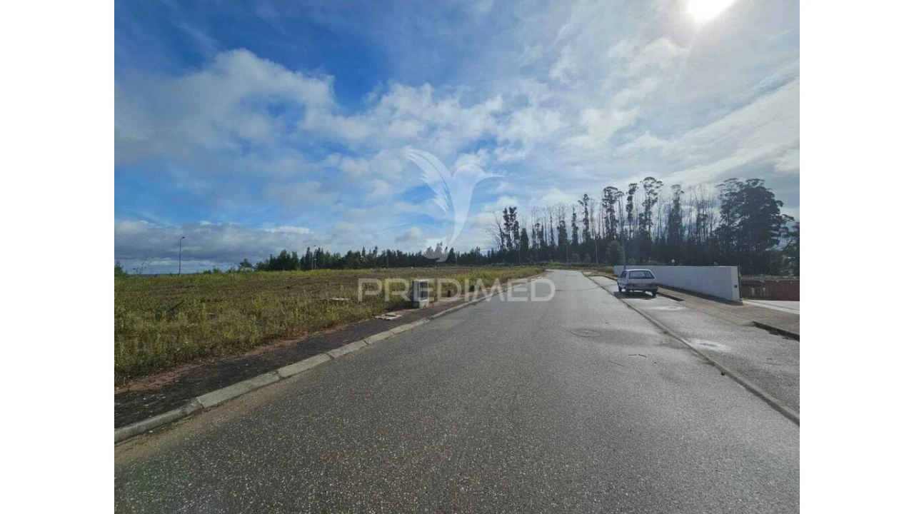 Terreno para Venda em São Pedro de Alva e São Paio de Mondego Foto 4