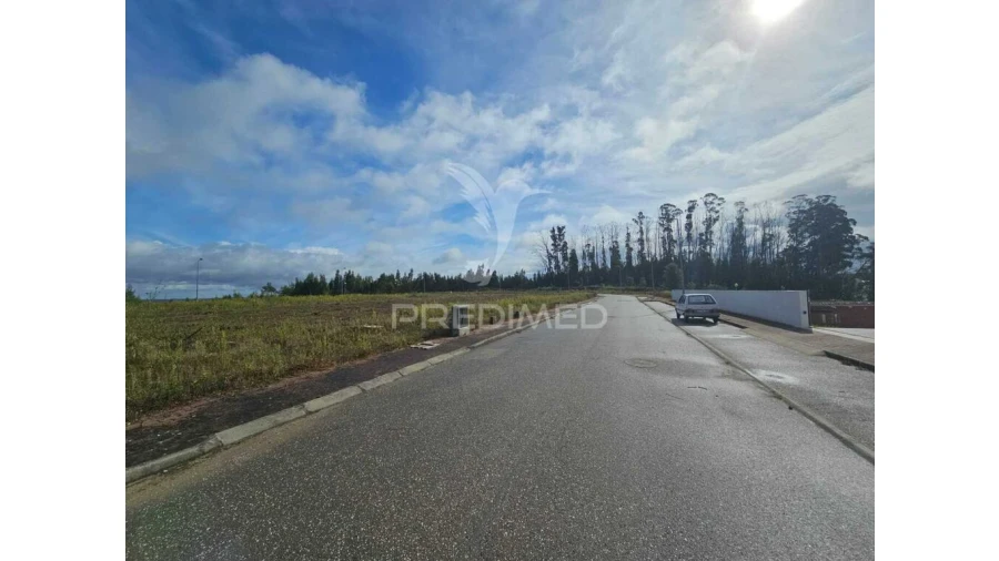 Terreno para Venda em São Pedro de Alva e São Paio de Mondego Foto 4