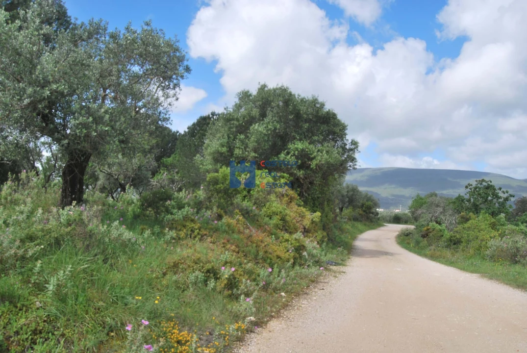Terreno para Venda em Torres Novas (São Pedro), Lapas e Ribeira Branca Foto 64