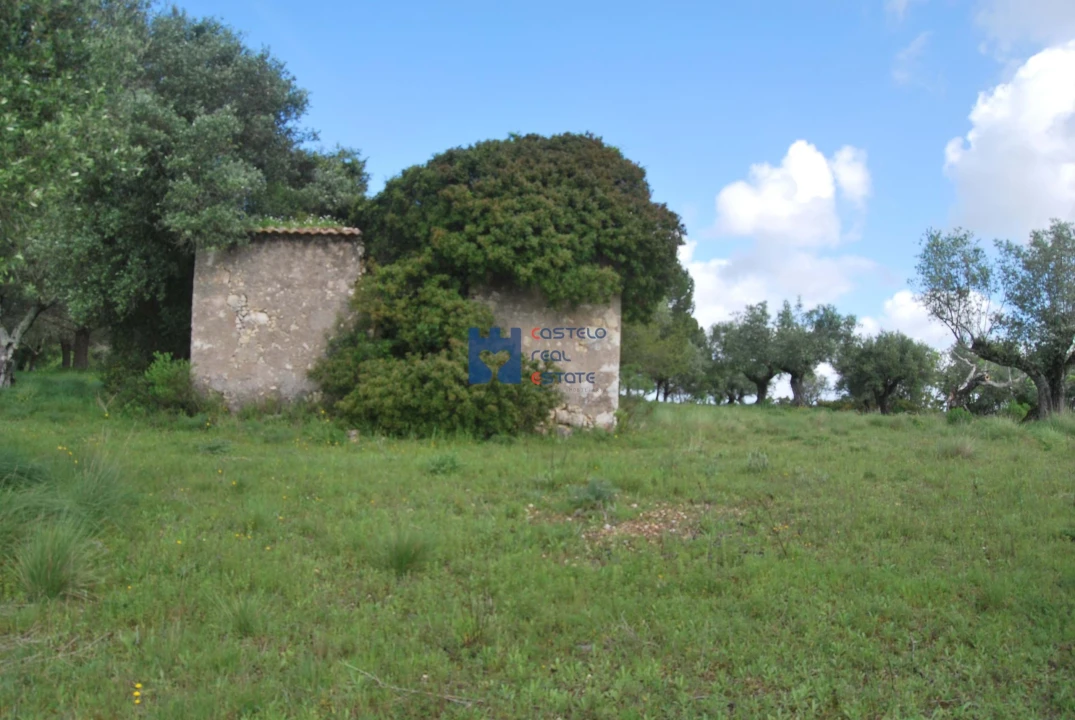 Terreno para Venda em Torres Novas (São Pedro), Lapas e Ribeira Branca Foto 1