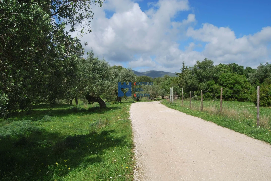 Terreno para Venda em Torres Novas (São Pedro), Lapas e Ribeira Branca Foto 49