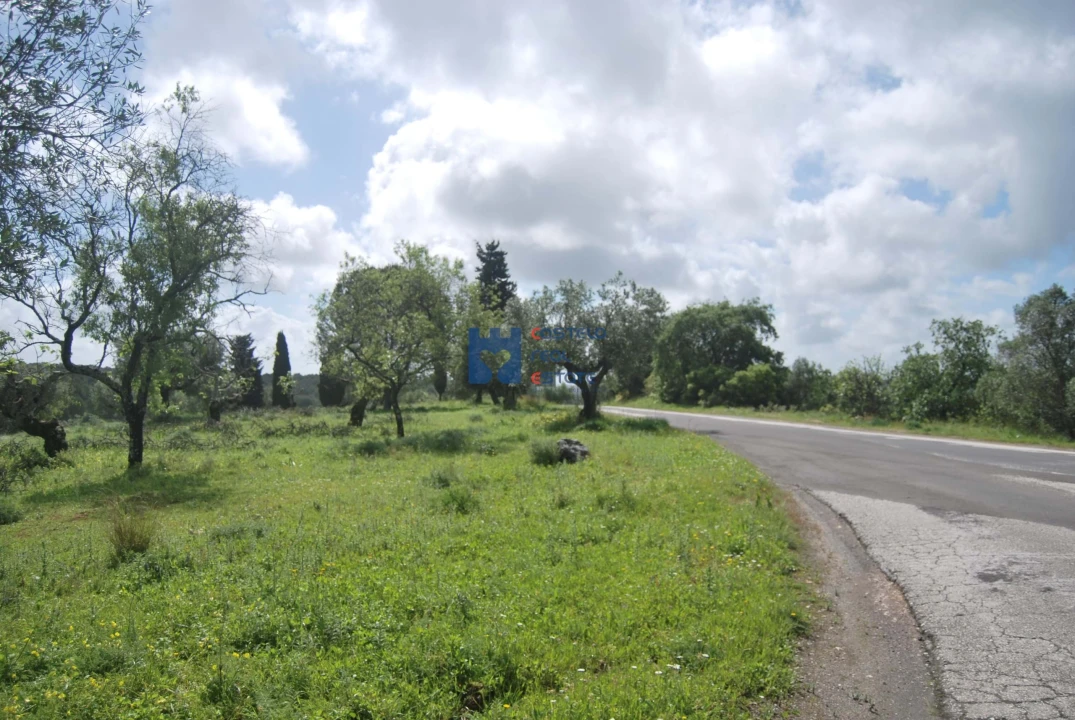 Terreno para Venda em Torres Novas (São Pedro), Lapas e Ribeira Branca Foto 4