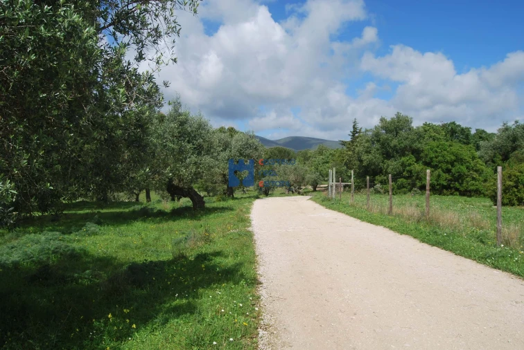Terreno para Venda em Torres Novas (São Pedro), Lapas e Ribeira Branca Foto 49