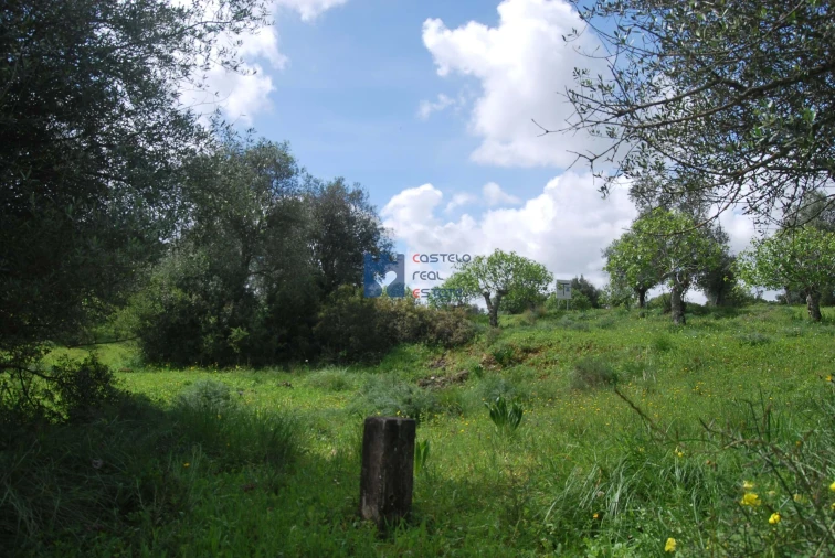 Terreno para Venda em Torres Novas (São Pedro), Lapas e Ribeira Branca Foto 69