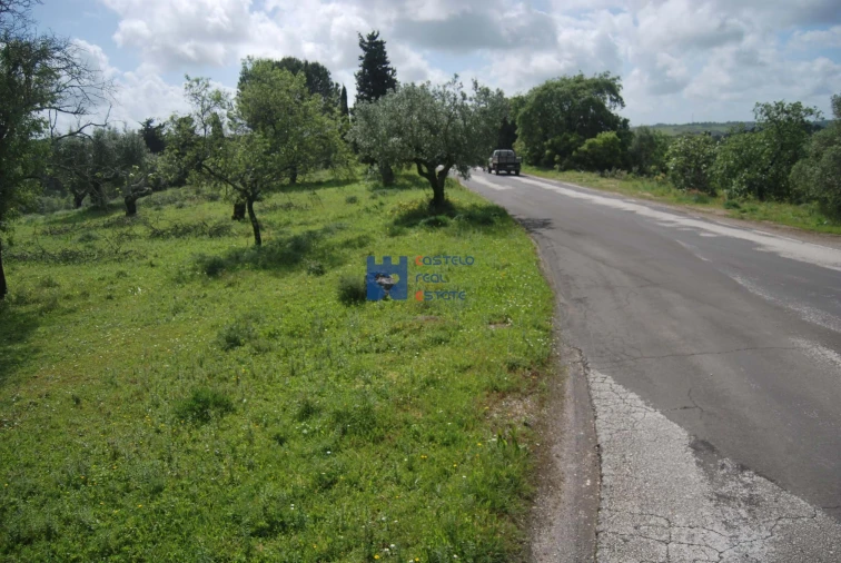 Terreno para Venda em Torres Novas (São Pedro), Lapas e Ribeira Branca Foto 5
