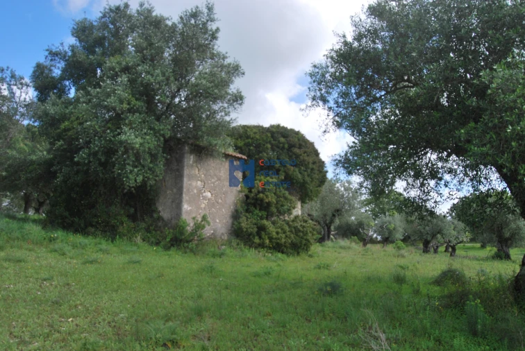 Terreno para Venda em Torres Novas (São Pedro), Lapas e Ribeira Branca Foto 58