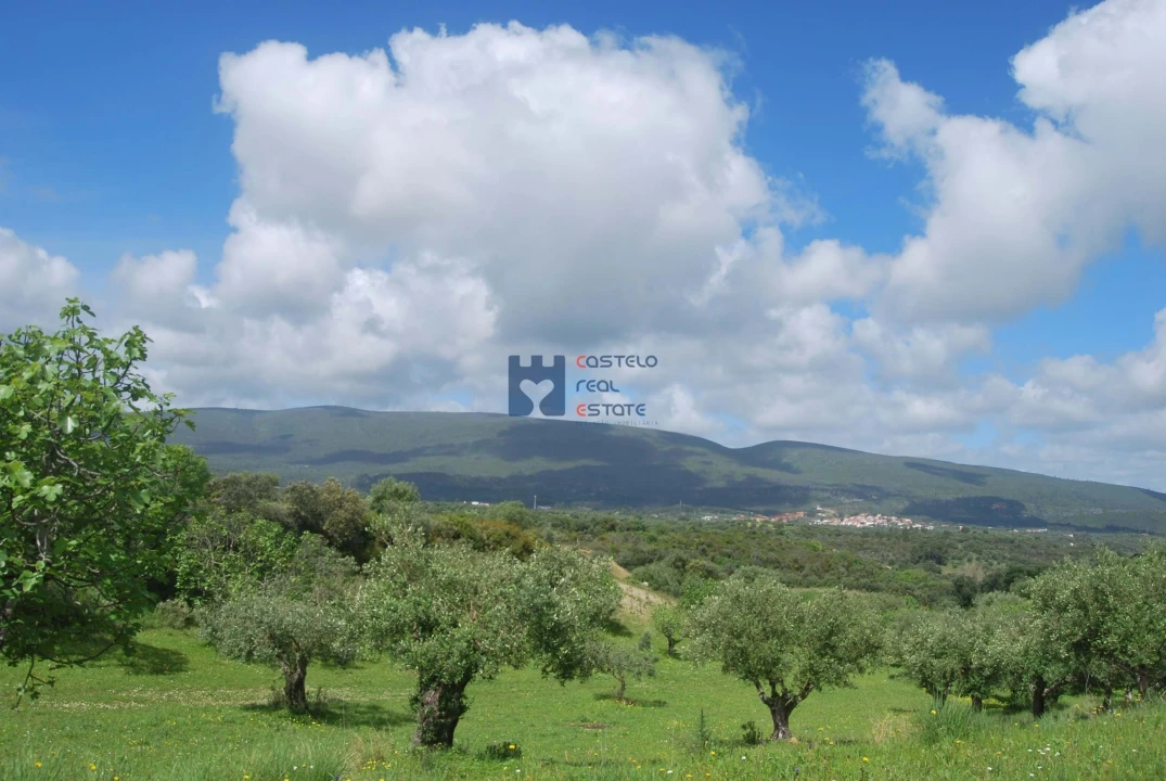 Terreno para Venda em Torres Novas (São Pedro), Lapas e Ribeira Branca Foto 67
