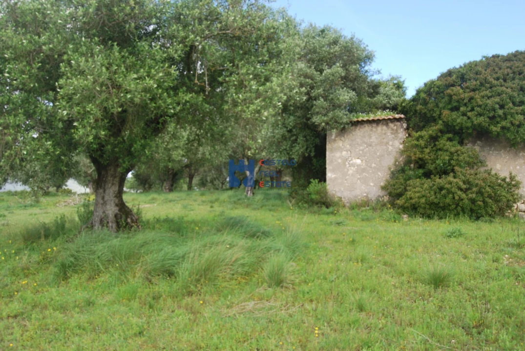 Terreno para Venda em Torres Novas (São Pedro), Lapas e Ribeira Branca Foto 60