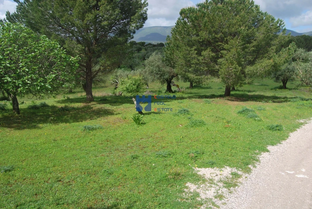 Terreno para Venda em Torres Novas (São Pedro), Lapas e Ribeira Branca Foto 51