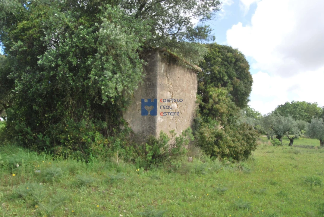 Terreno para Venda em Torres Novas (São Pedro), Lapas e Ribeira Branca Foto 57