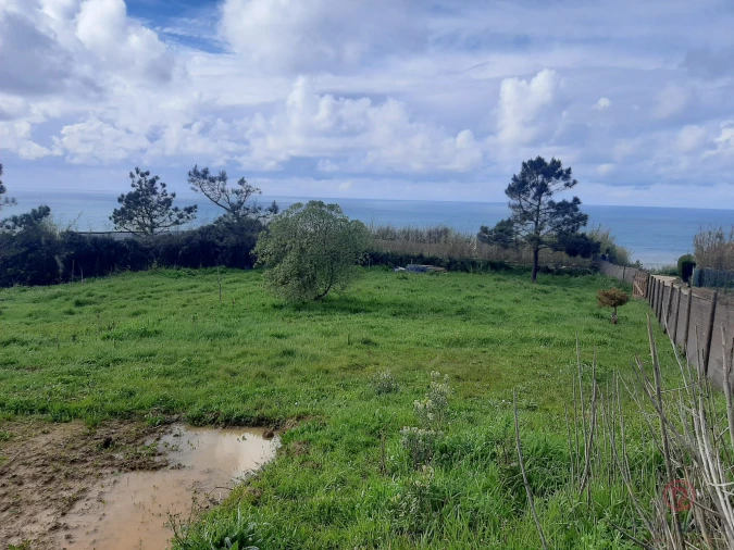 Terreno Agricola ou Rústico para Venda em Caldas da Rainha - Santo Onofre e Serra do Bouro Foto 2