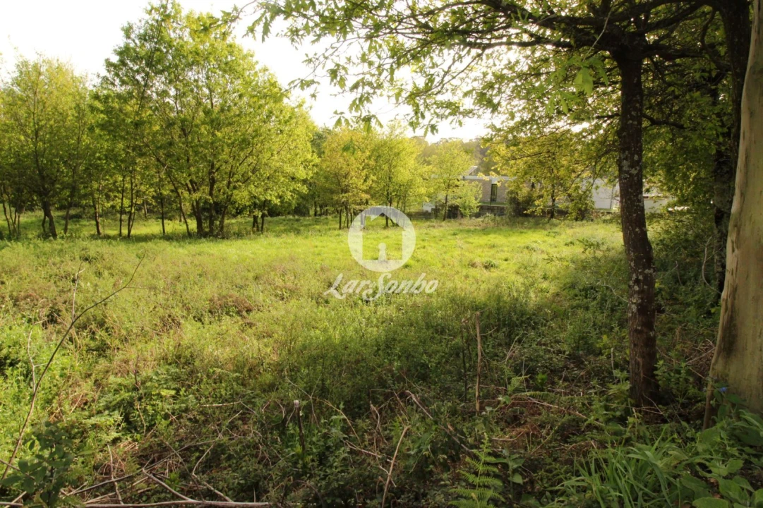 Terreno Agricola ou Rústico para Venda em Moreira do Rei e Várzea Cova Foto 1