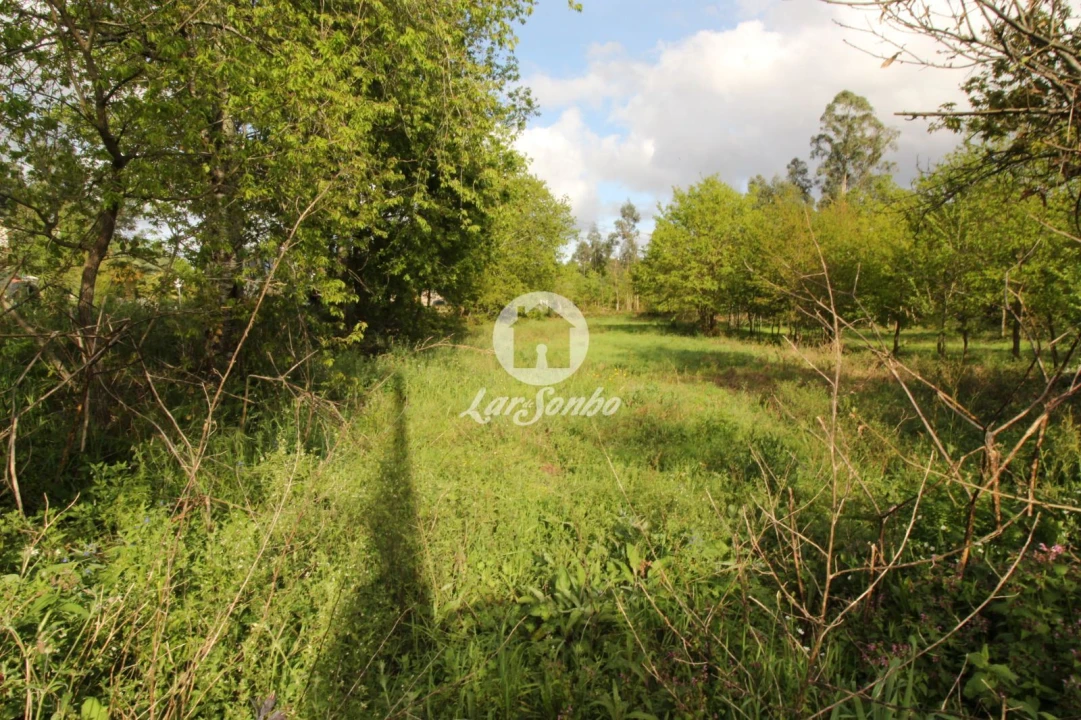 Terreno Agricola ou Rústico para Venda em Moreira do Rei e Várzea Cova Foto 2