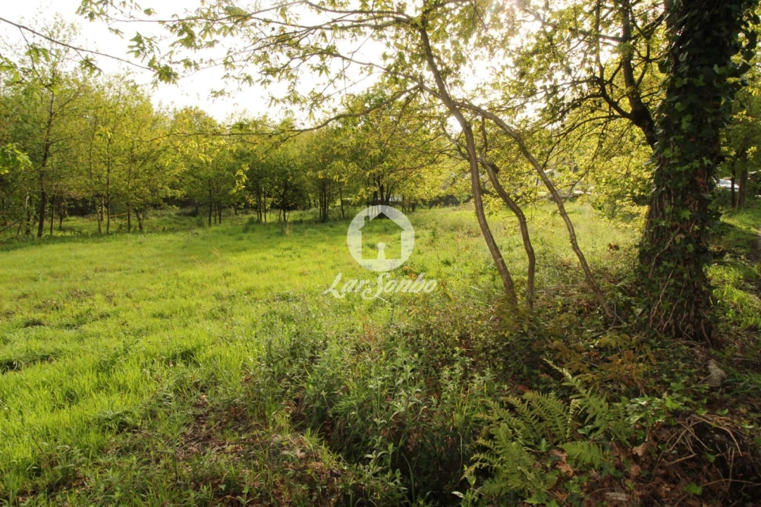 Terreno Agricola ou Rústico para Venda em Moreira do Rei e Várzea Cova Foto 6