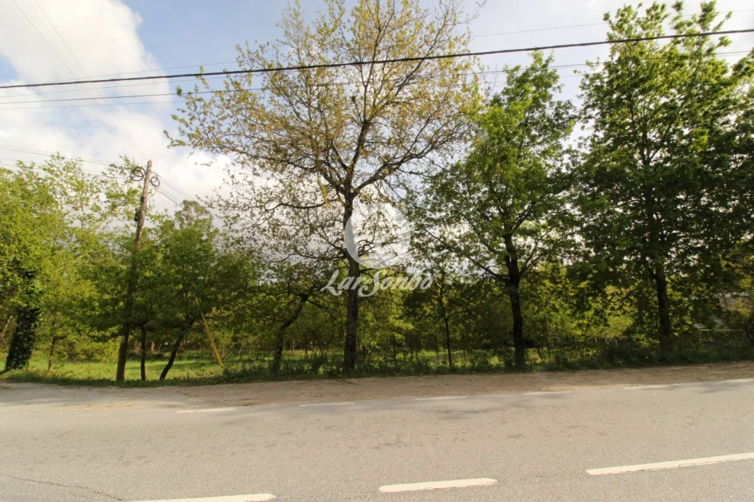 Terreno Agricola ou Rústico para Venda em Moreira do Rei e Várzea Cova Foto 10