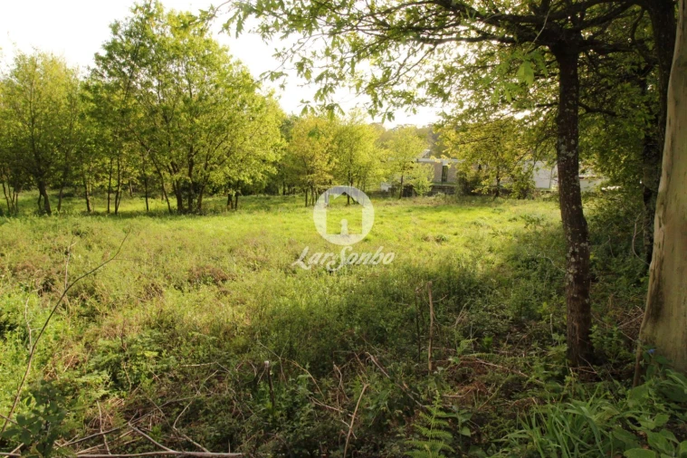 Terreno Agricola ou Rústico para Venda em Moreira do Rei e Várzea Cova Foto 1