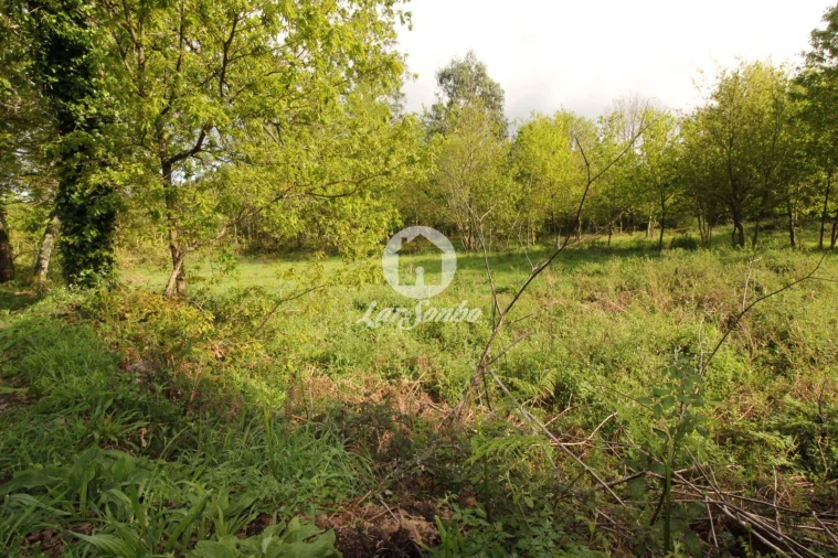 Terreno Agricola ou Rústico para Venda em Moreira do Rei e Várzea Cova Foto 5