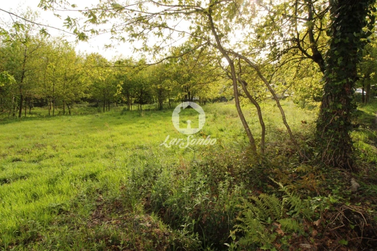 Terreno Agricola ou Rústico para Venda em Moreira do Rei e Várzea Cova Foto 6