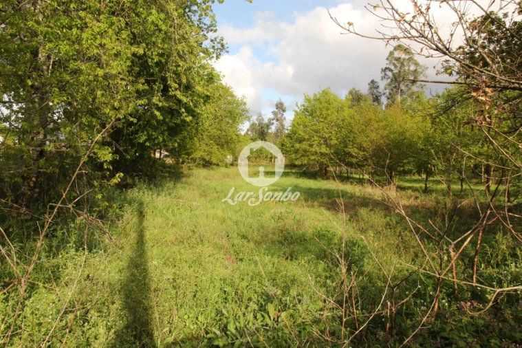 Terreno Agricola ou Rústico para Venda em Moreira do Rei e Várzea Cova Foto 9