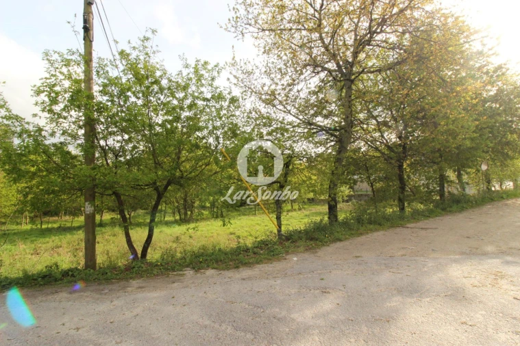 Terreno Agricola ou Rústico para Venda em Moreira do Rei e Várzea Cova Foto 4