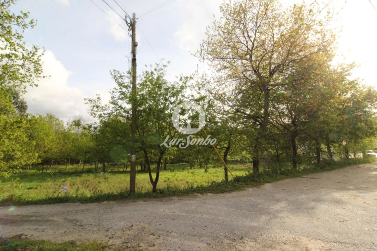 Terreno Agricola ou Rústico para Venda em Moreira do Rei e Várzea Cova Foto 11