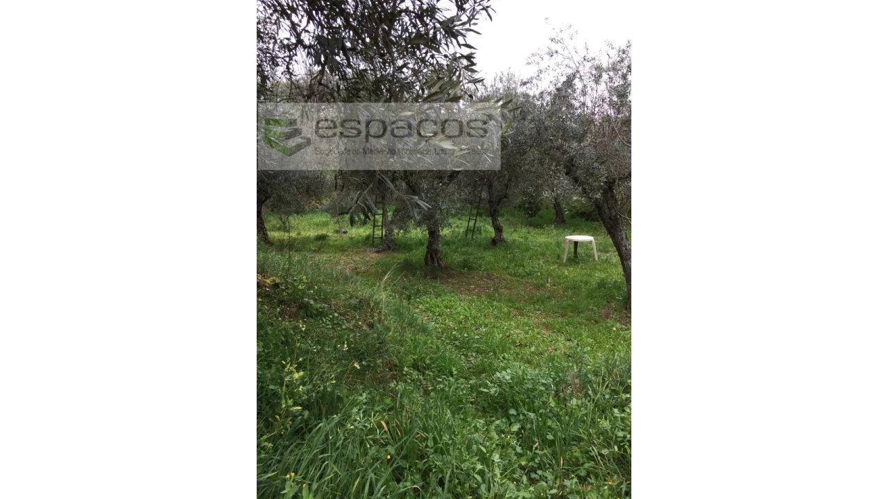 Quinta T1 para Venda em Souto da Casa Foto 15