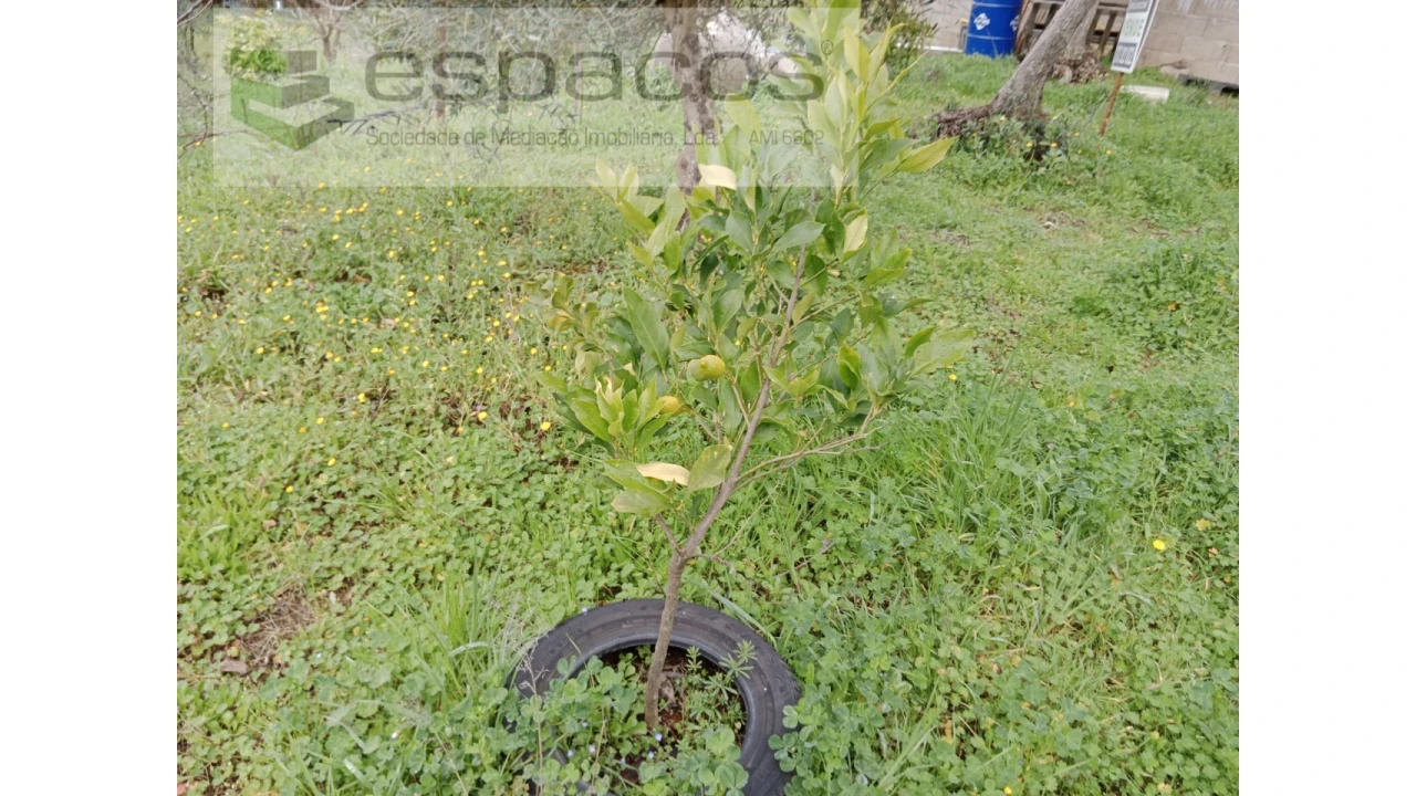 Quinta T1 para Venda em Souto da Casa Foto 26