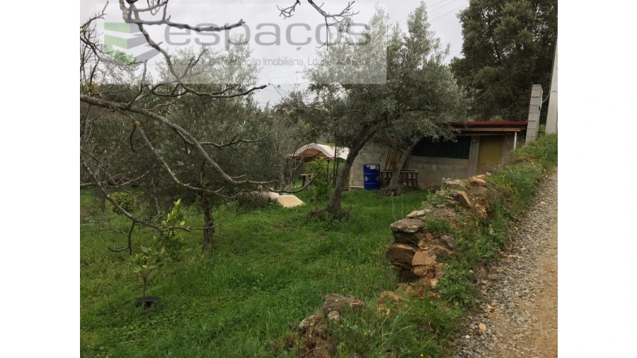 Quinta T1 para Venda em Souto da Casa Foto 3