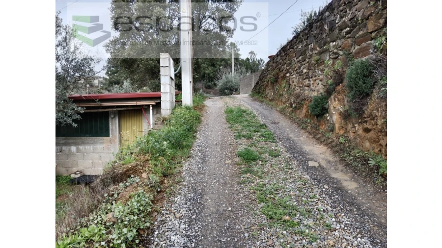 Quinta T1 para Venda em Souto da Casa Foto 28