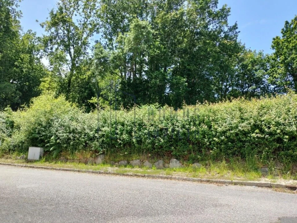 Terreno para Venda em Venade e Azevedo Foto 7